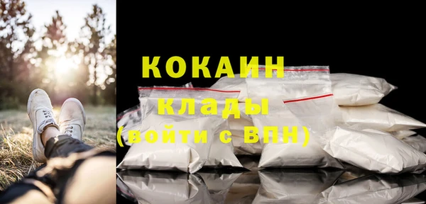спайс Ладушкин