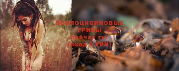 спайс Ладушкин
