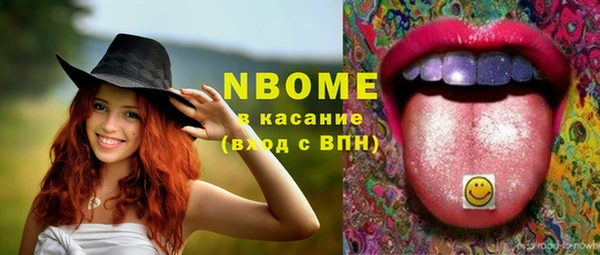 гашик Лабытнанги